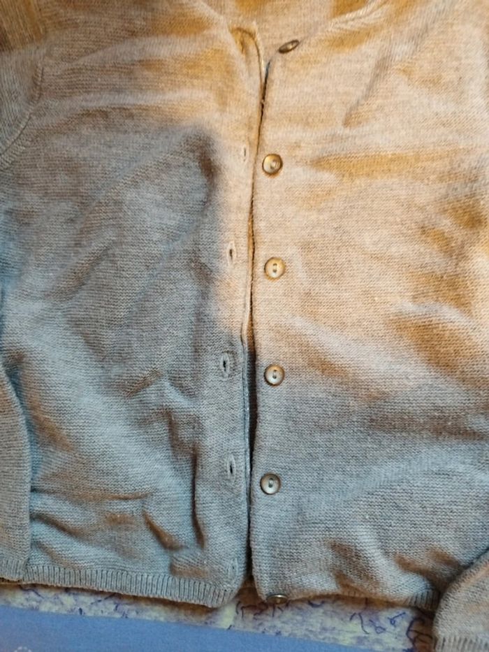 Gilet gris - photo numéro 3