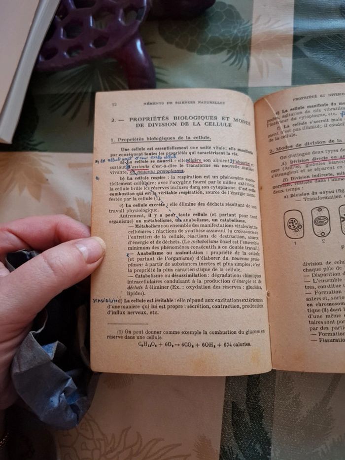 Mémento de sciences naturelles. Baccalauréat 2 e partie - photo numéro 4