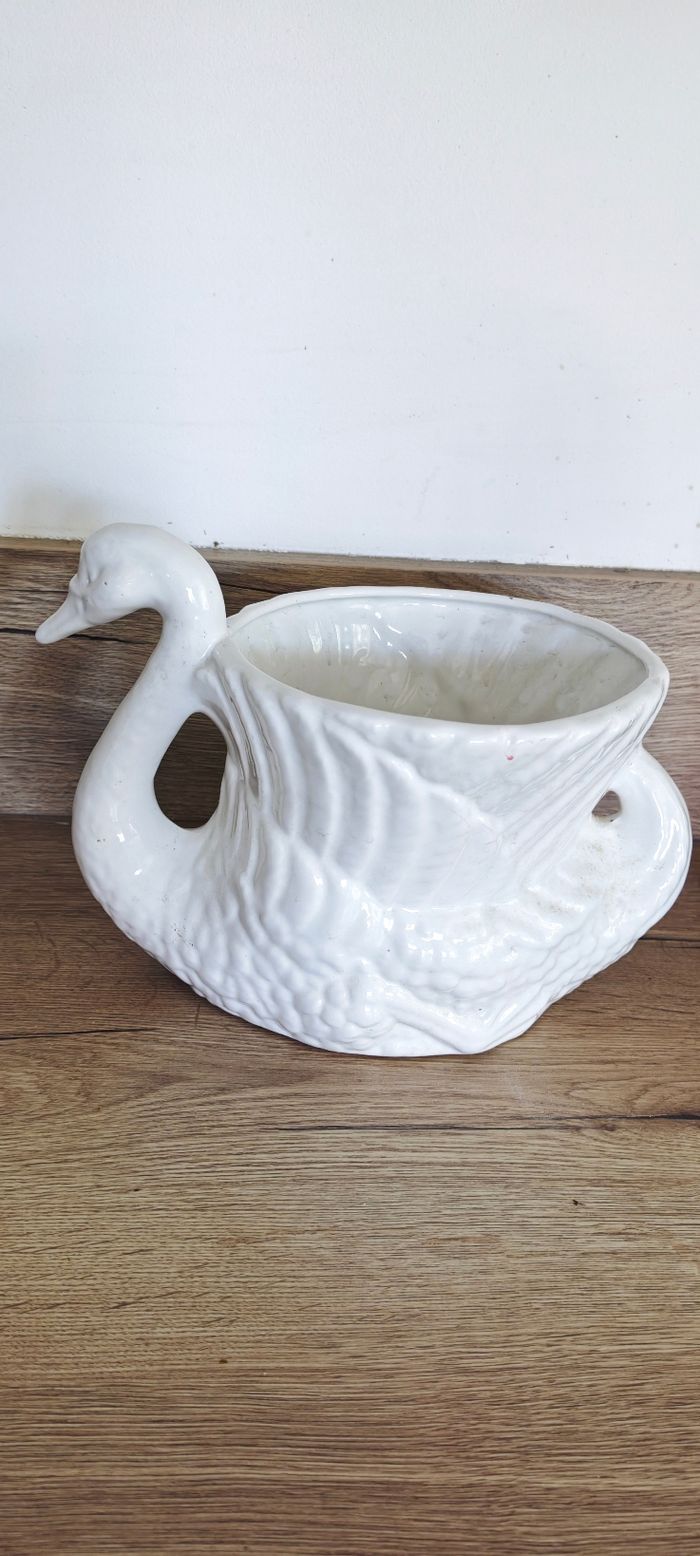 Cygne - photo numéro 2