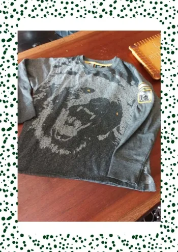 Magnifique sweat gris tête d ours