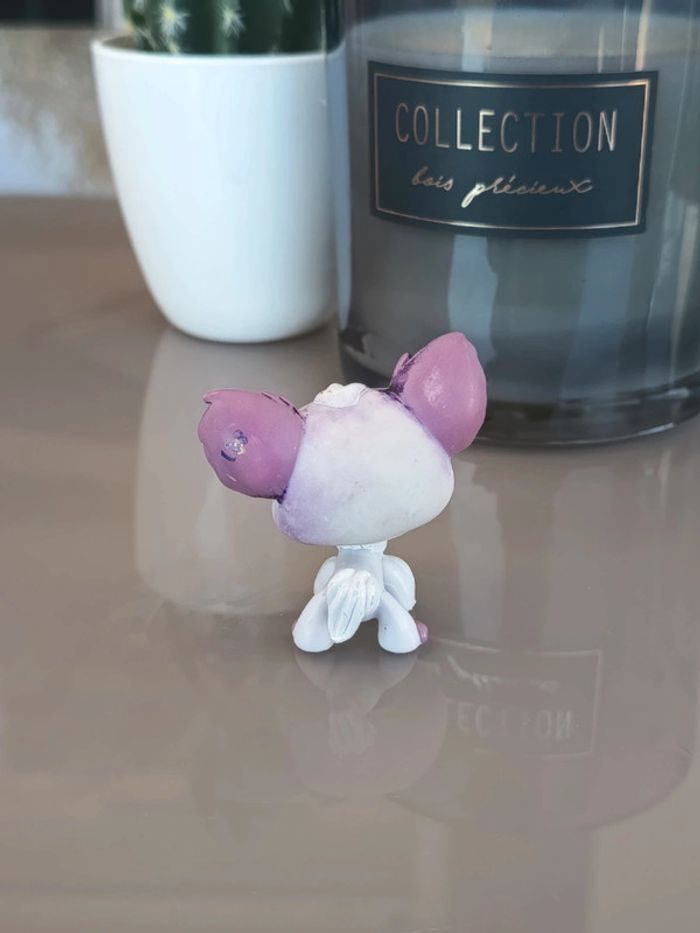 Littlest Pet Shop #1138 grey purple chihuahua dog - photo numéro 2