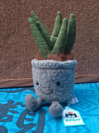 Peluche plante aloe silly succulente jellycat