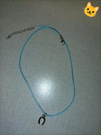 Collier bleu fer a cheval