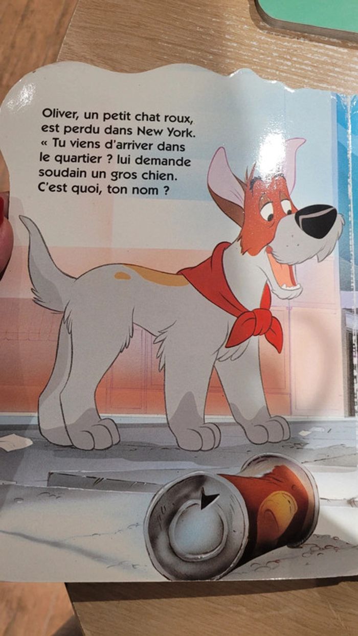 Lot 2 livres - photo numéro 6