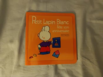 Petit lapin blanc fête son anniversaire