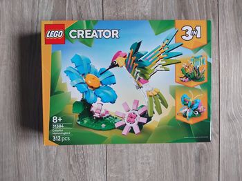 Lego creator 31384