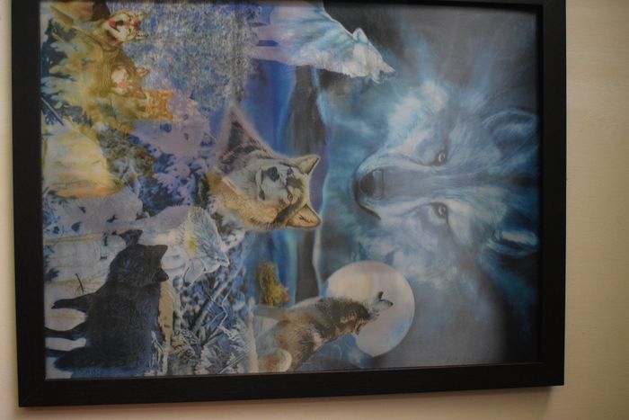 beau cadre holographique loup