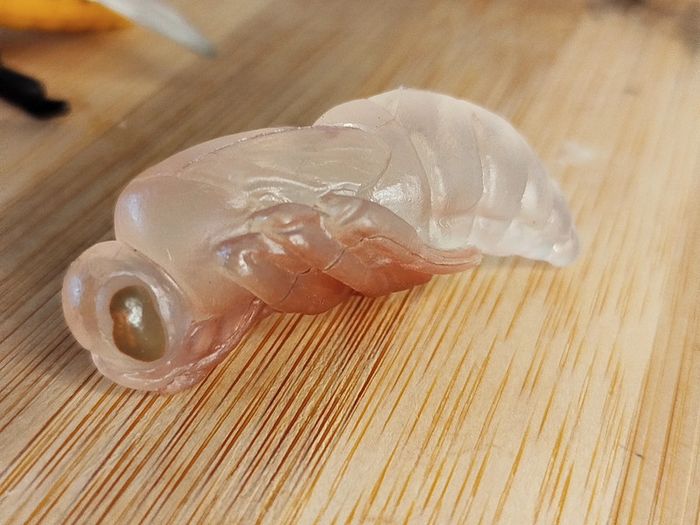 Figurine abeille Cycle de la vie - photo numéro 4