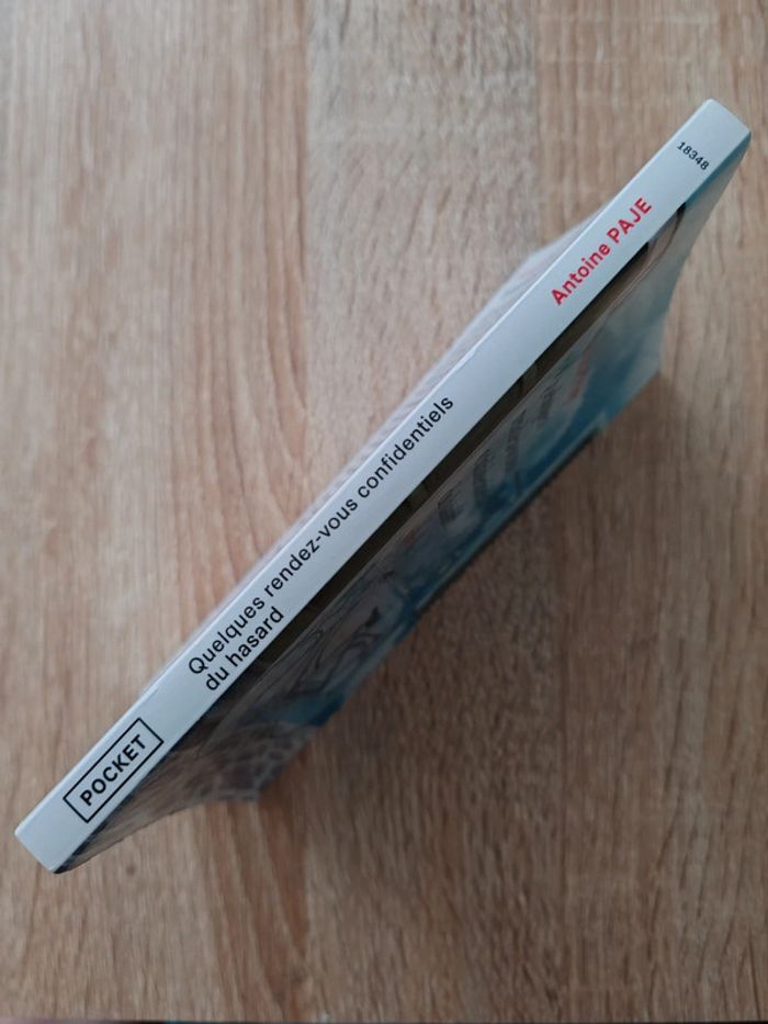 Antoine Paje 🌸 Quelques rendez-vous confidentiels du hasard - photo numéro 3