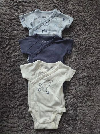 Lot de 3 bodies à manches courtes