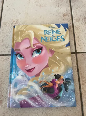 Livre La Reine des Neiges