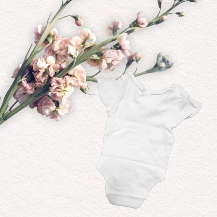 Body "Petite Princesse" taille 9 mois - photo numéro 2