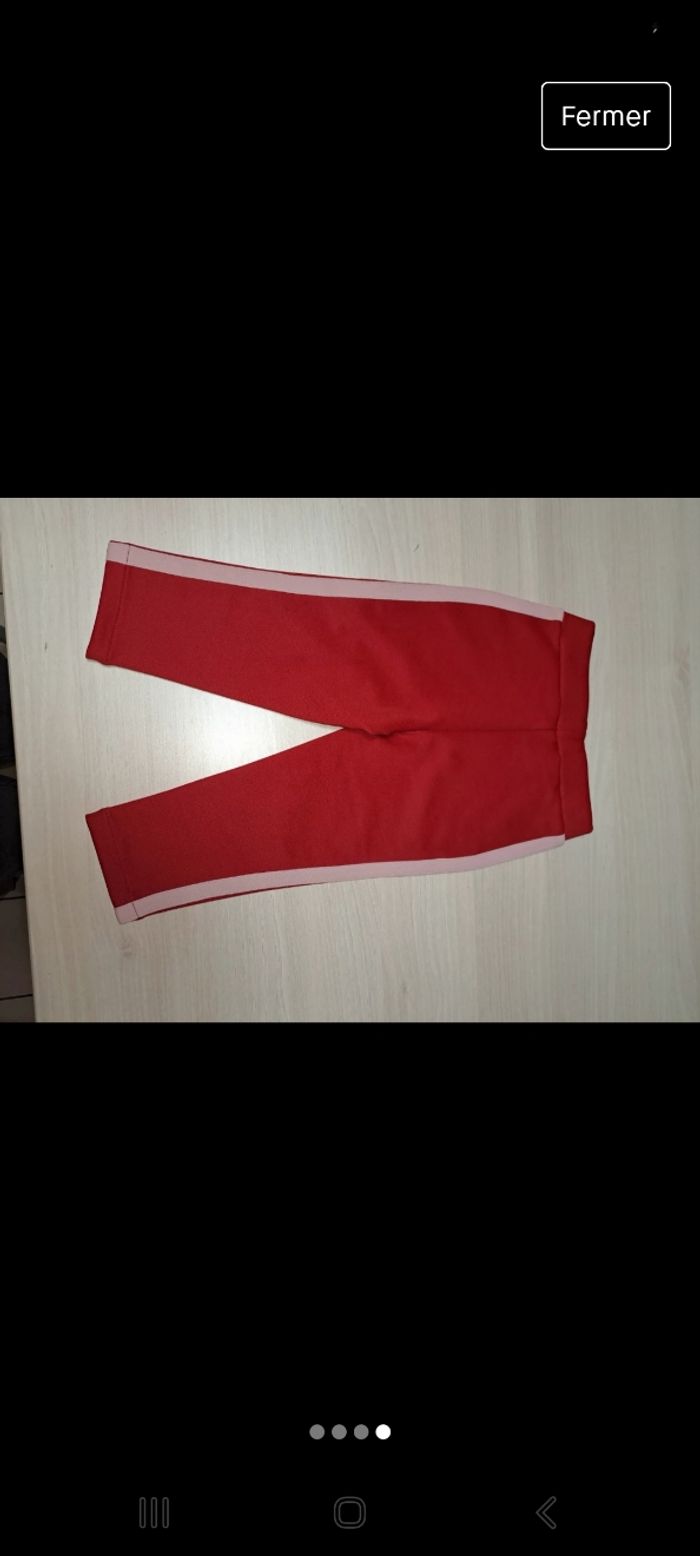 Jogging lacoste 2 ans - photo numéro 4