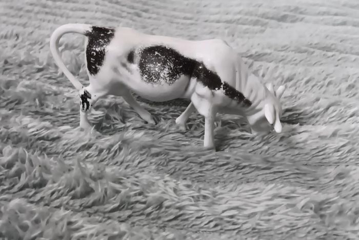 Figurine vache 10cm