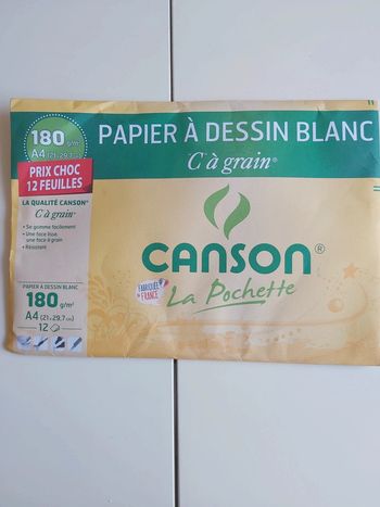 Papier dessin Canson