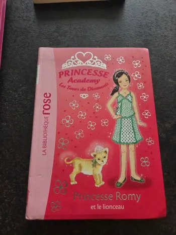 Livre bibliothèque rose princesse academy princesse romy et le lionceau