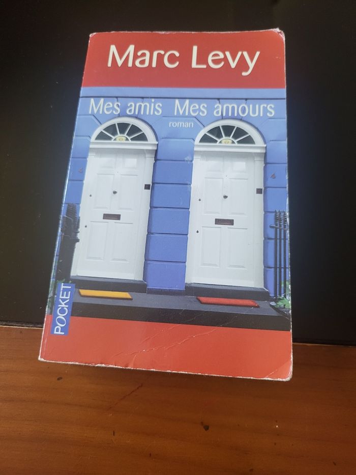 Livre 📖 mes amis mes amours