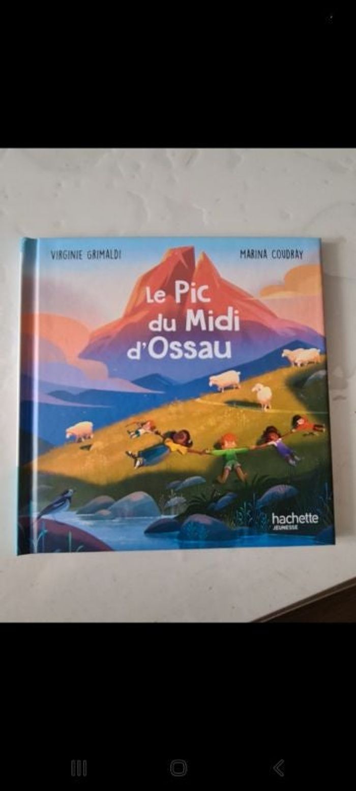 Livre, le pic du midi d'ossau