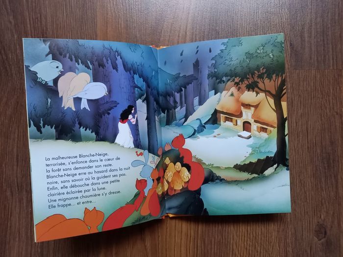 Blanche neige - photo numéro 4