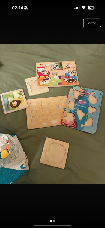 Lot puzzle en bois