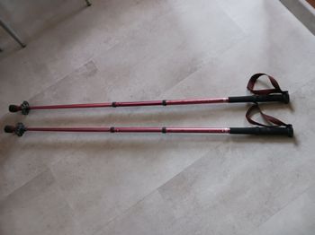 Bâtons Trekking-Randonnée Télescopiques rose foncé 200 Arpenaz Décathlon