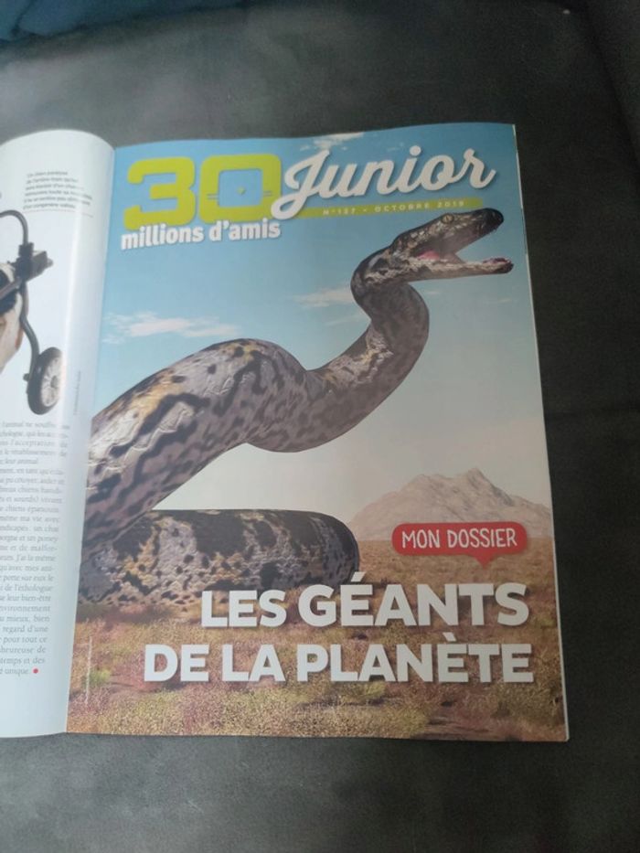 Magazine 30 millions d'amis numéro 377 octobre 2019 - photo numéro 8