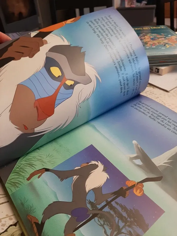 Gros livre disney le roi lion - photo numéro 12