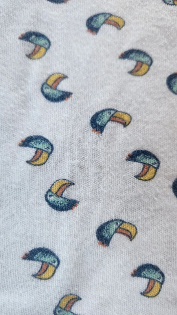 Lot de bodies - photo numéro 8