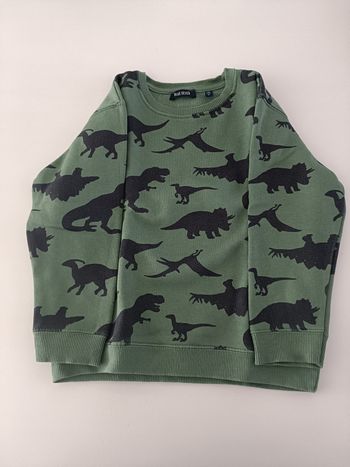 Pull col rond motifs dinosaures 5 ans