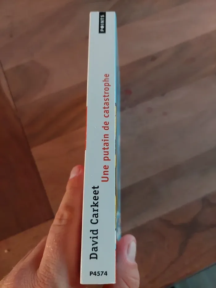 Une putain de catastrophe, de David Carkeet - photo numéro 3