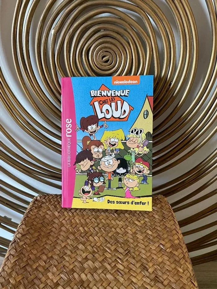 Livre bienvenue chez les Loud "des soeurs d'enfer"