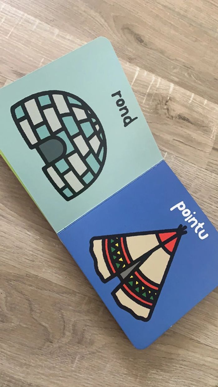 Igloo à tipi - photo numéro 2