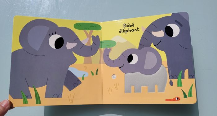 Mes petits imagiers sonores, touche et écoute 🐼 Coucou bébé ! 🐨 - photo numéro 4
