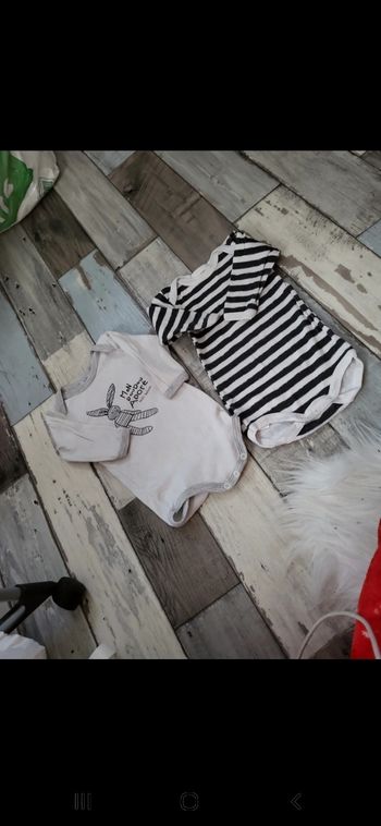lot 2 body