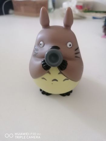 Figurine Totoro musicien