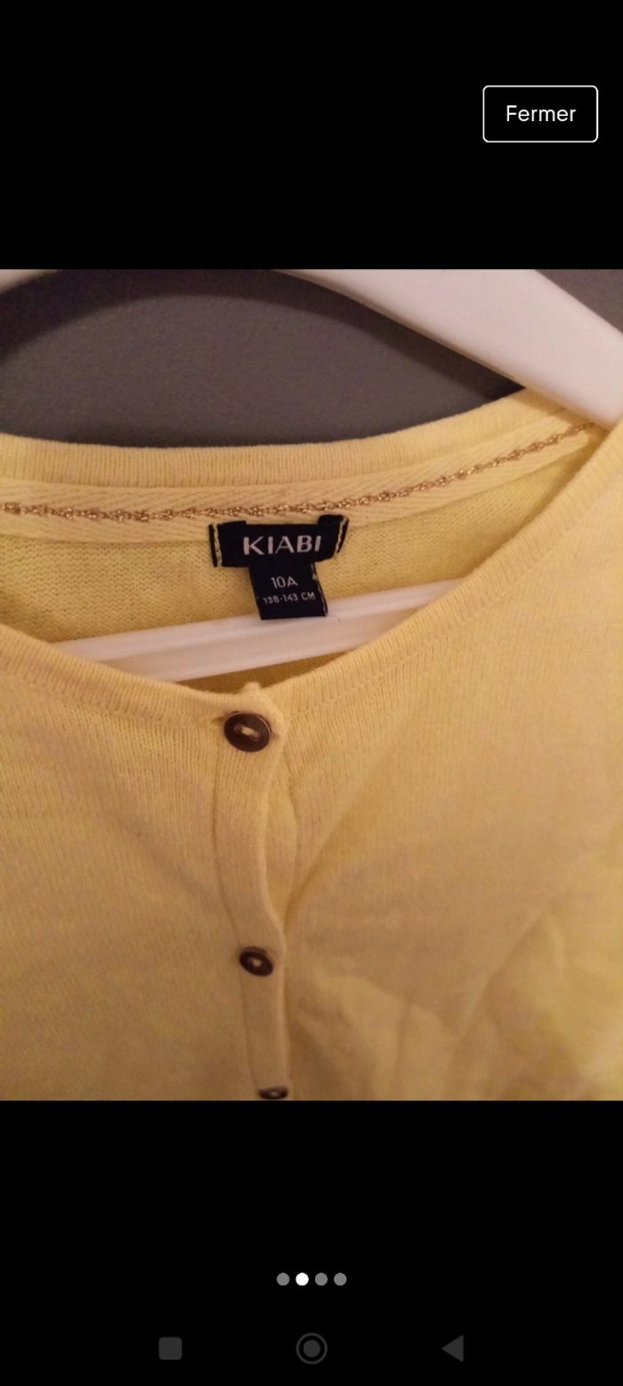 Gilet jaune pâle - photo numéro 3