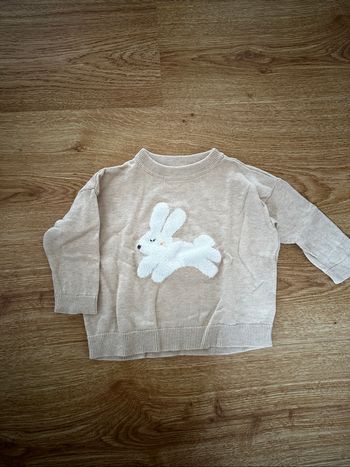 Pull bébé garçon.