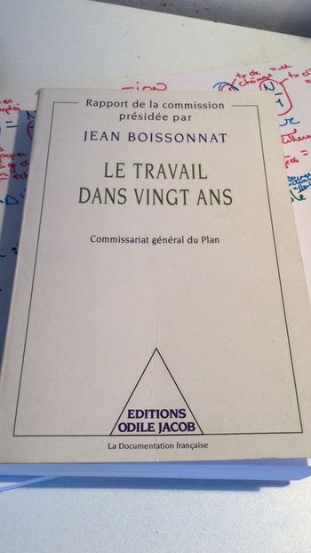 Livre le travail dans vingt ans