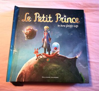 Livre pour enfant "Le Petit Prince"