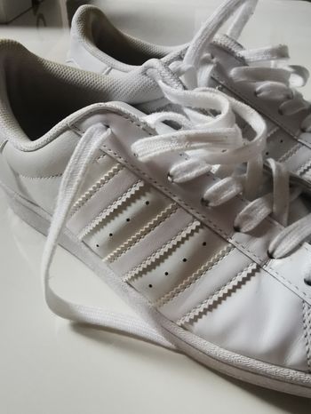Adidas super star