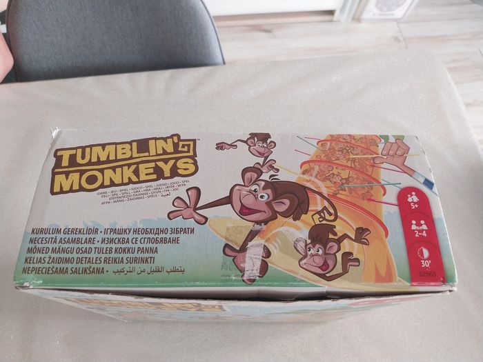 Tumblin' Monkeys - photo numéro 6