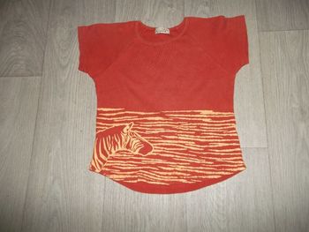 Tee shirt KISS MELODY rouille et jaune "zèbre" 12 ans