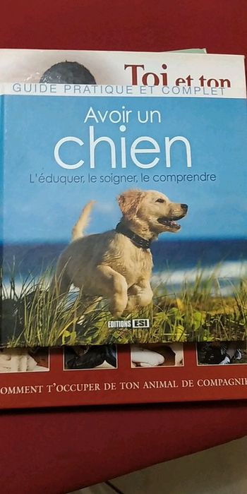 Livre s'occuper de son chien