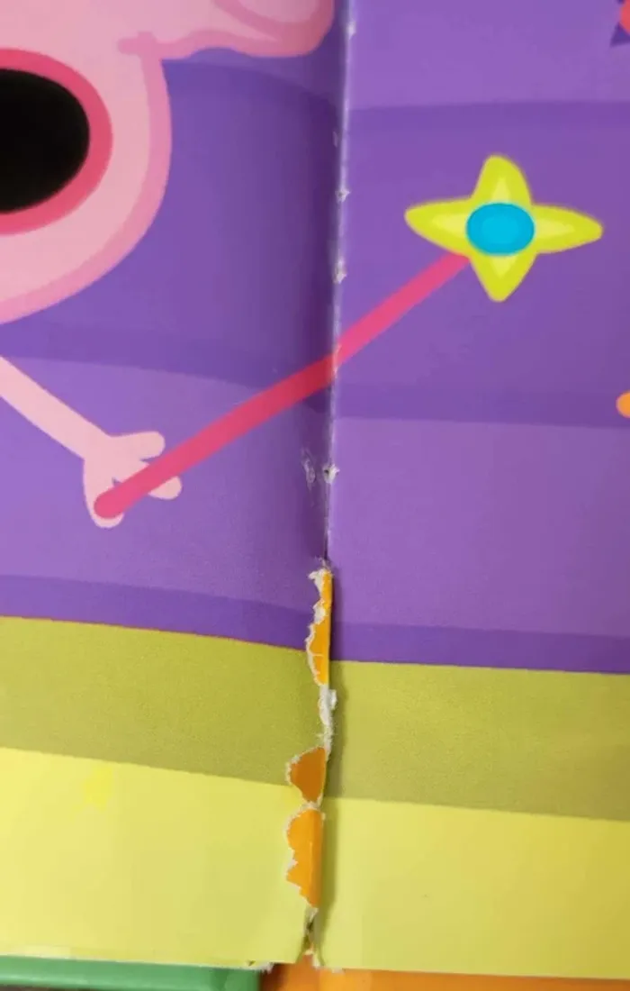 2 livres Peppa pig - photo numéro 8
