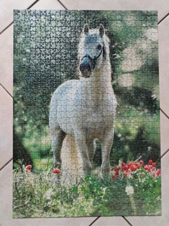 Puzzle 1000 pièces - photo numéro 2