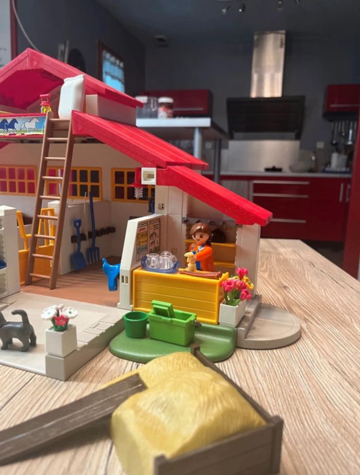 Lot - prix sur tous les éléments équitation - photo numéro 6