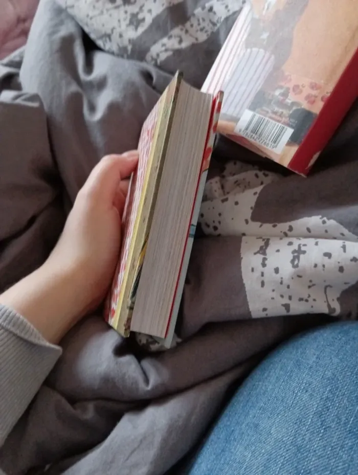 Livre "les malheurs de Sophie comtesse de Ségur " - photo numéro 9