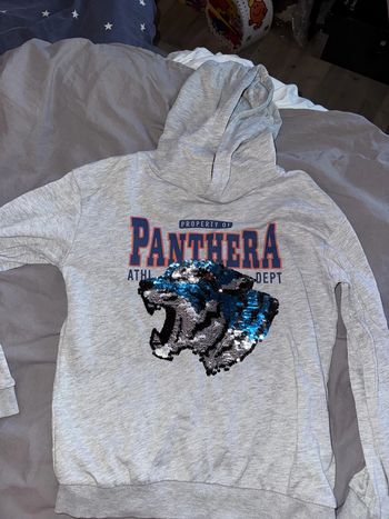Sweat à capuche