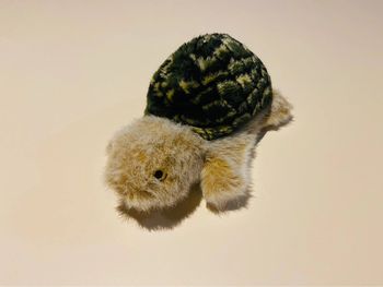 Peluche Marionnette Tortue