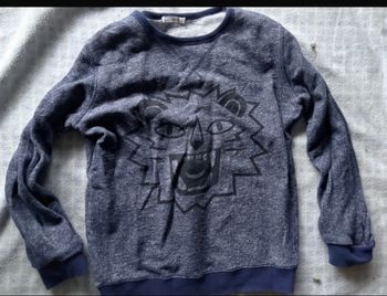 Pull léger coton Monoprix kids 10 ans bleu chiné motif lion